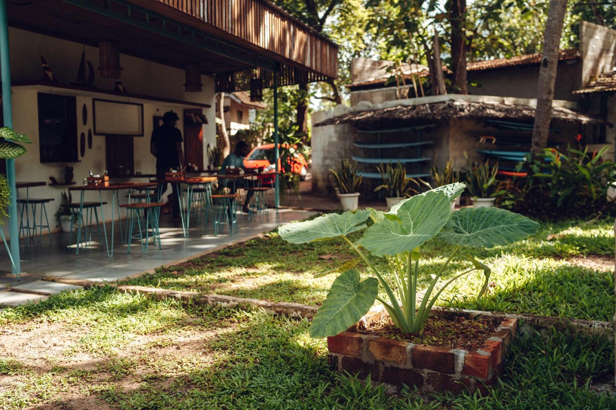 Paddlecult Surf Retreat Bed and Breakfast Varkala Eksteriør billede